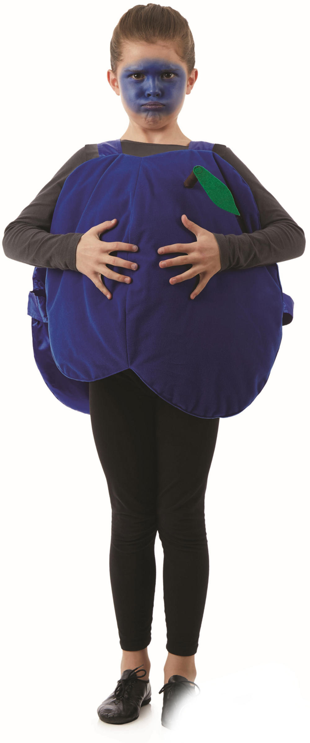 Blueberry Kids Costume Girl's World Book Day Fancy Dress Costumes Mega Fancy Dress